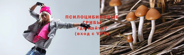 ECSTASY Алзамай