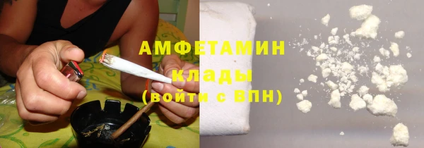 ECSTASY Алзамай