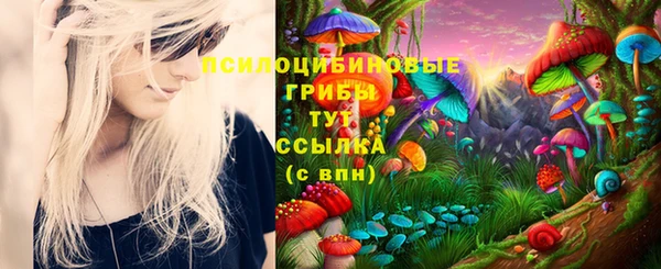 ECSTASY Абдулино