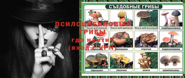 ECSTASY Алзамай