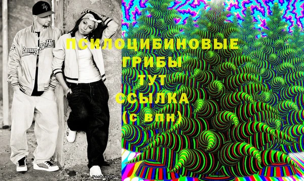 стафф Карпинск