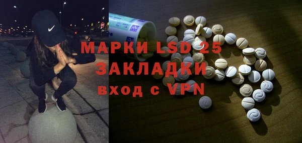 ECSTASY Алзамай