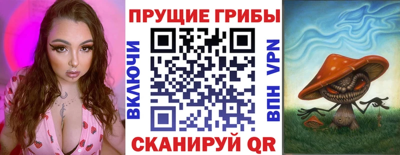 blacksprut ссылка  Талдом  Псилоцибиновые грибы Psilocybe 